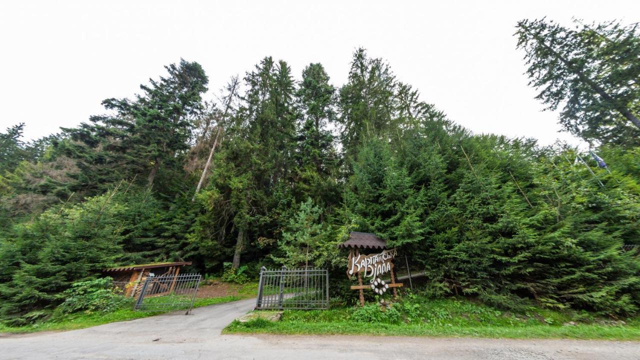 Karpatska Villa Mykulychyn Exterior photo